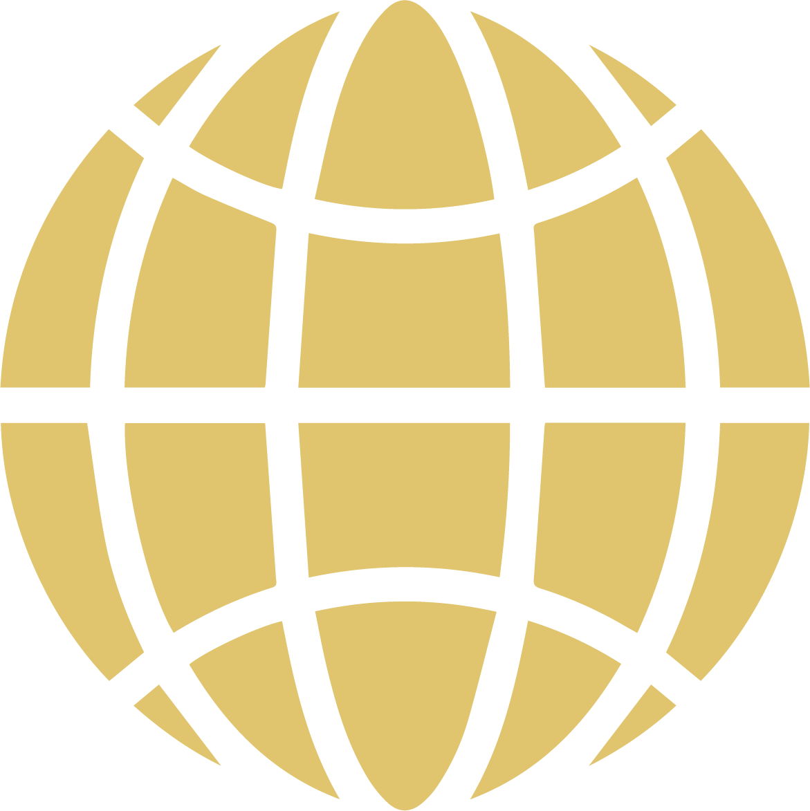 global/international icon